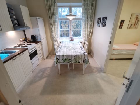 Apartment | Private kitchen | Fridge, microwave, oven, stovetop