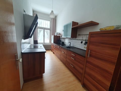 City Apartment | Private kitchen | Fridge, oven, stovetop, electric kettle