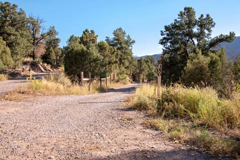 View of driveway from road