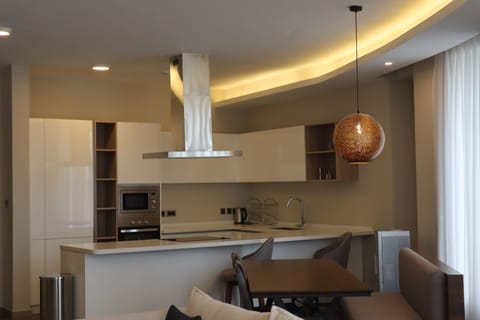 Deluxe Apartment | Private kitchen | Full-size fridge, microwave, oven, stovetop