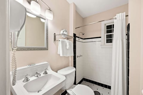 Combined shower/tub, free toiletries, hair dryer, towels