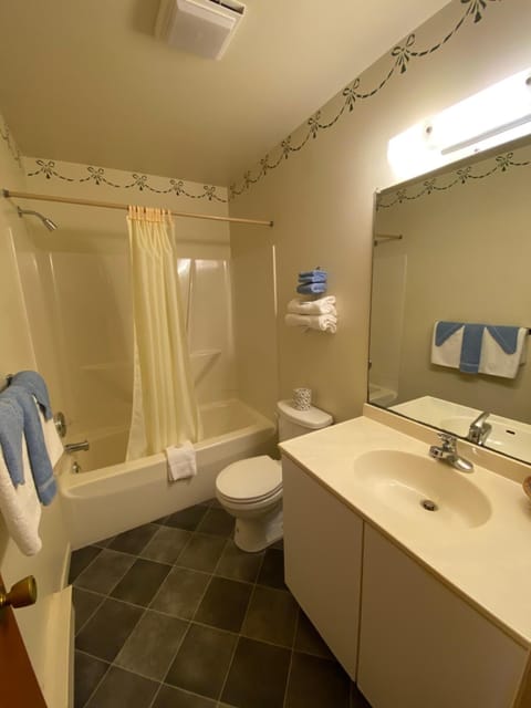 Family Room | Bathroom | Deep soaking tub, hair dryer, towels, soap