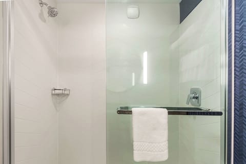 Hair dryer, soap, shampoo, toilet paper