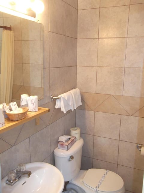 Combined shower/tub, free toiletries, towels