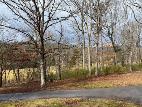 Views from front porch (Winter Mountain Views)