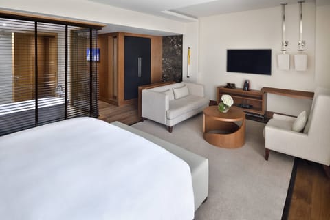 Junior Suite, 1 King Bed, City View | Hypo-allergenic bedding, minibar, in-room safe, desk