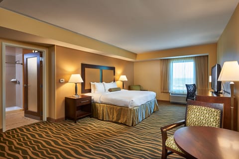 Executive Suite, 1 King Bed, Non Smoking | In-room safe, desk, blackout drapes, iron/ironing board