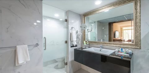 Master Suite | Bathroom | Free toiletries, hair dryer, towels