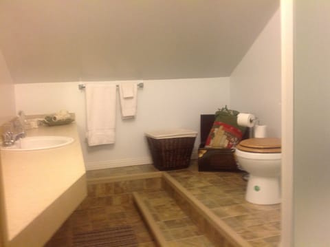 Room, 1 Queen Bed (L'Ombrine) | Bathroom | Shower, hair dryer, slippers, towels
