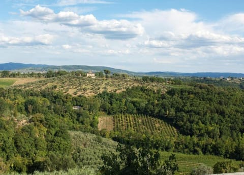 House | View from property