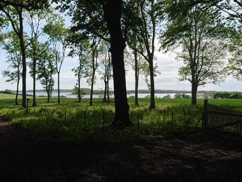 House | Miscellaneous