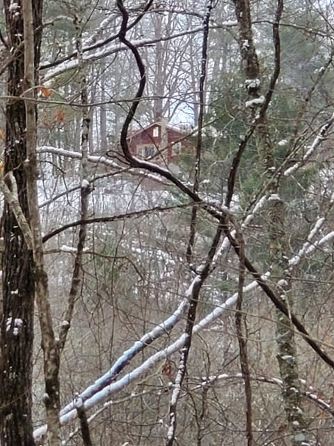 Nestled in the woods after a lite snow