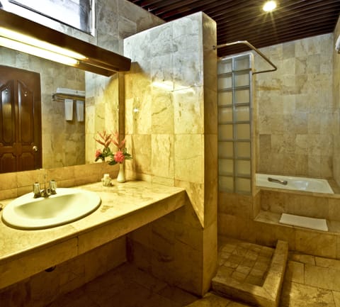 Deluxe Room | Bathroom | Separate tub and shower, hydromassage showerhead, free toiletries