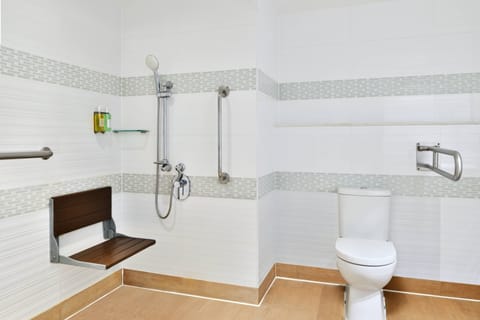 Room, 1 Queen Bed, Non Smoking | Bathroom | Shower, rainfall showerhead, designer toiletries, hair dryer