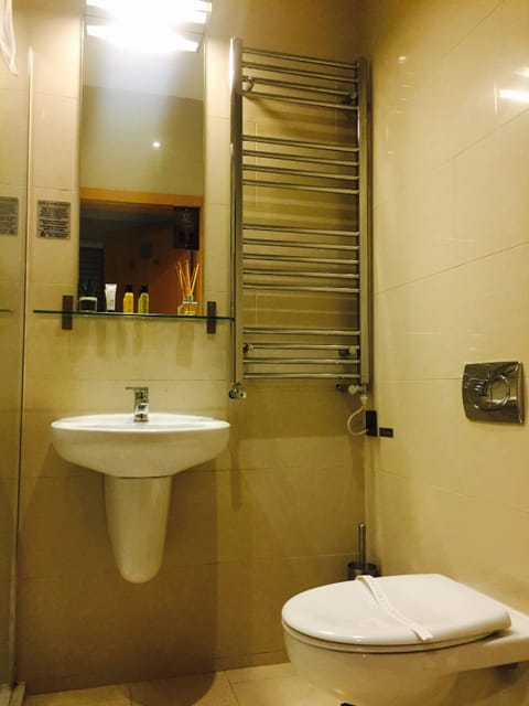 Premier Double Room | Bathroom | Shower, free toiletries, hair dryer, towels