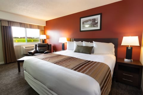 Deluxe Single Room, 1 King Bed, Refrigerator & Microwave | View from room