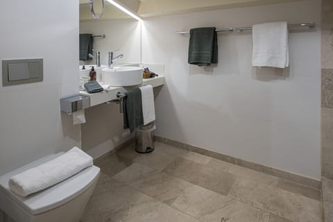 Premium Suite | Bathroom | Shower, rainfall showerhead, free toiletries, hair dryer