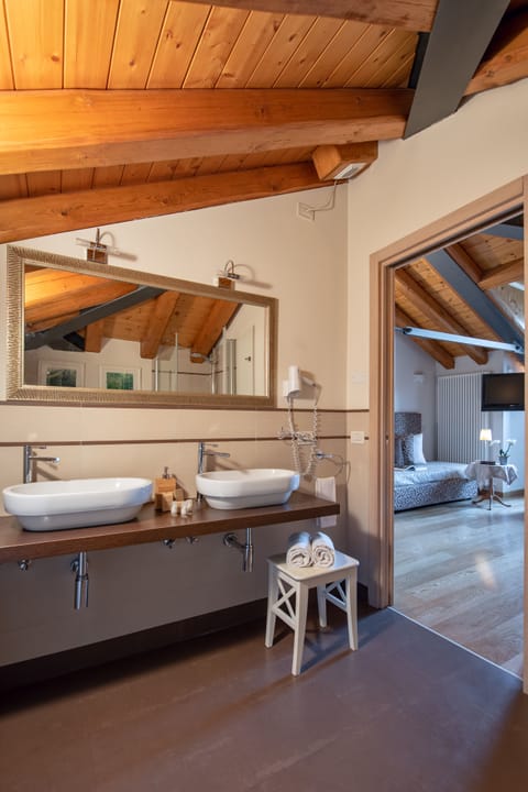 Shower, free toiletries, hair dryer, bidet