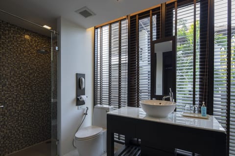 Deluxe Twin Room | Bathroom | Shower, free toiletries, hair dryer, towels