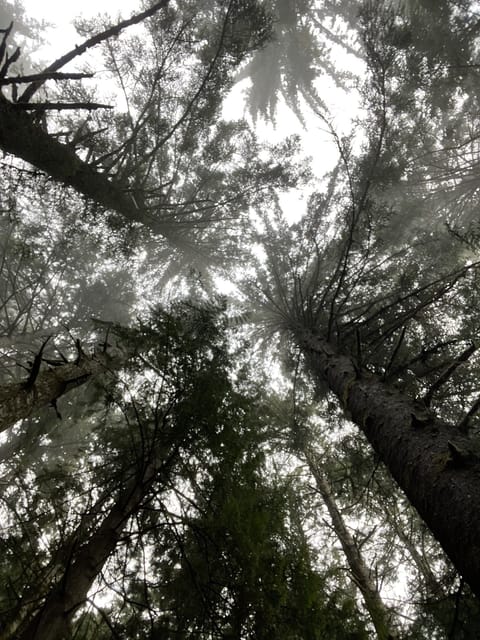 It's beautiful here!