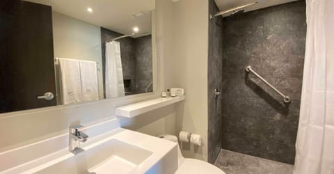 Shower, soap, shampoo, toilet paper