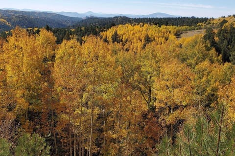 Fall Time at Aspen Grove Lodge