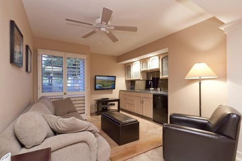 Separate cozy den with TV and fold out sofa.