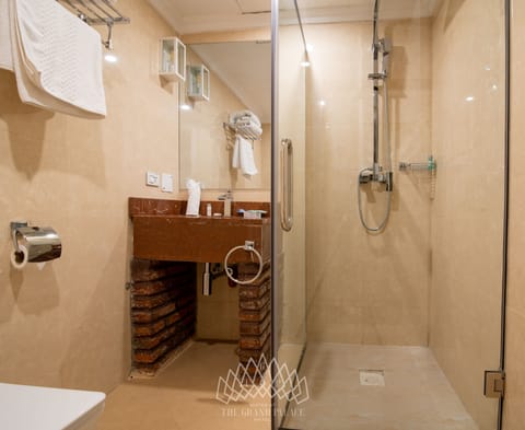 Shower, free toiletries, bidet, towels