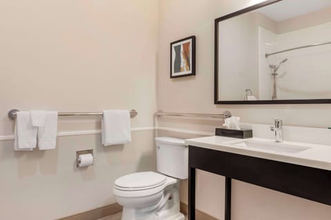 Combined shower/tub, rainfall showerhead, free toiletries, hair dryer