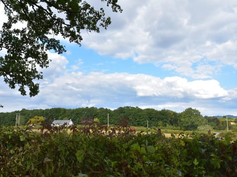 View from Holiday Home [summer]