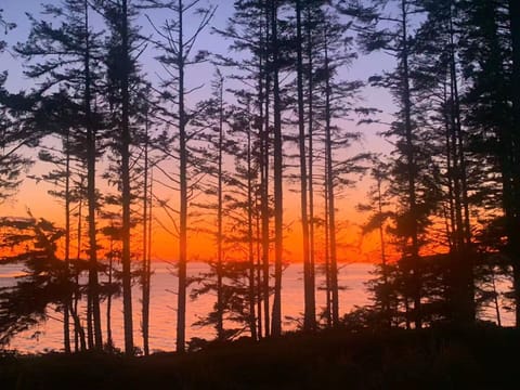 A guest photo: Sunset