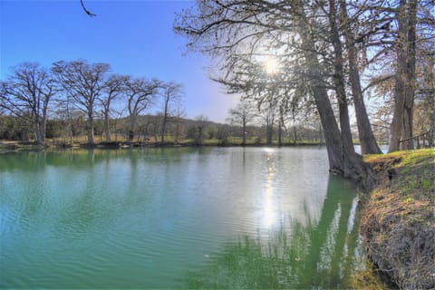 Guadalupe River & Cypress Trees