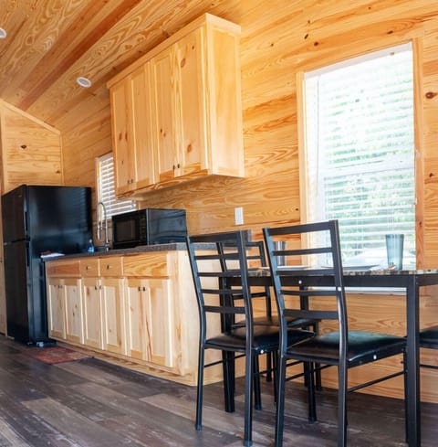 Standard Cabin | Private kitchen | Full-size fridge, microwave, stovetop, coffee/tea maker