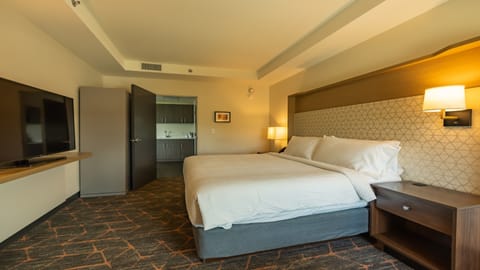 Suite, 1 King Bed, Accessible (Mobility Roll-In Shower) | Individually furnished, desk, laptop workspace, blackout drapes