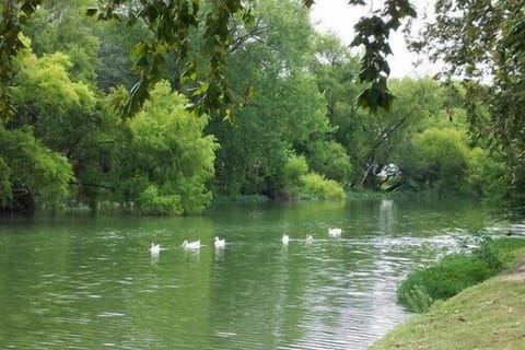 Cibilo Creek is seconds away: fish, walk, bike, picnic, or feed the ducks