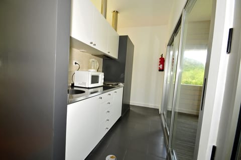 Apartment, 1 Bedroom | Private kitchenette | Full-size fridge, microwave, espresso maker, coffee/tea maker