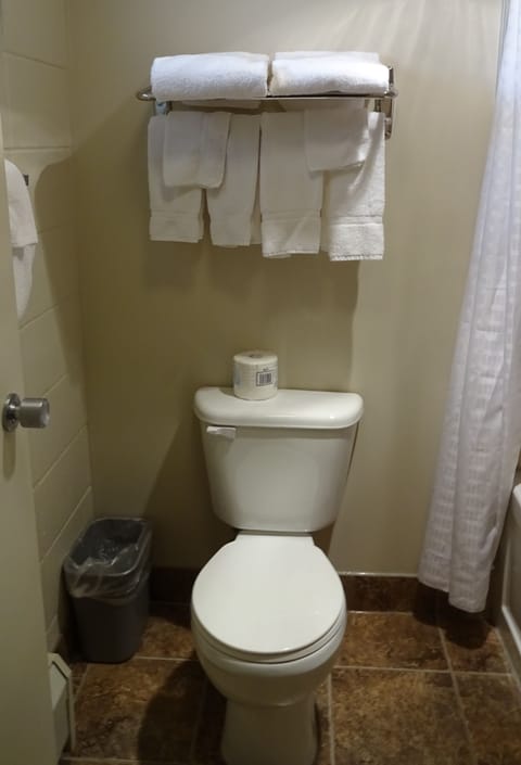 Combined shower/tub, free toiletries, heated floors, towels
