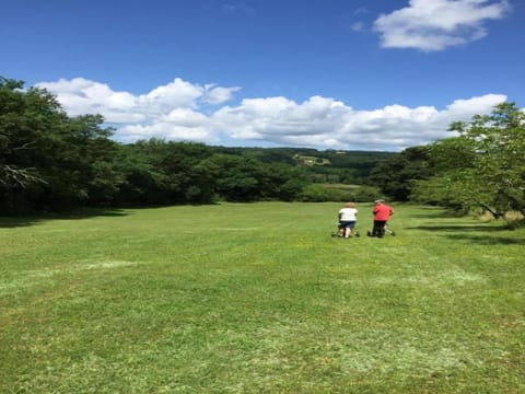 Region [summer] (>5 km)