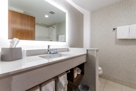 Suite, 1 King Bed | Bathroom | Hair dryer, towels, soap, shampoo