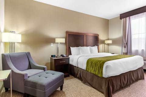 Standard Room, 1 King Bed, Non Smoking | Egyptian cotton sheets, premium bedding, down comforters, pillowtop beds