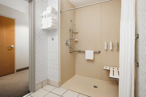 Room, 1 King Bed, Accessible (Roll In Shower) | Bathroom shower