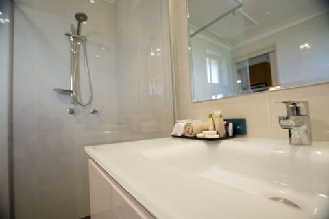 Separate tub and shower, free toiletries, hair dryer, bathrobes