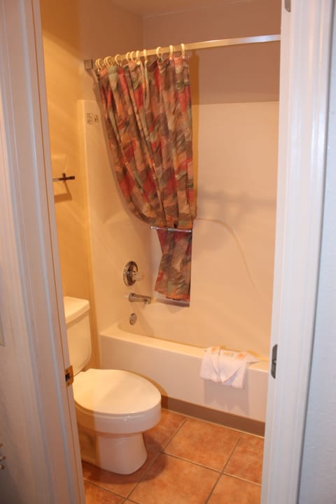 Standard Double Room | Bathroom shower