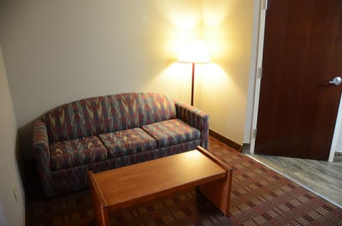 Studio Suite, 1 King Bed, Non Smoking | Terrace/patio