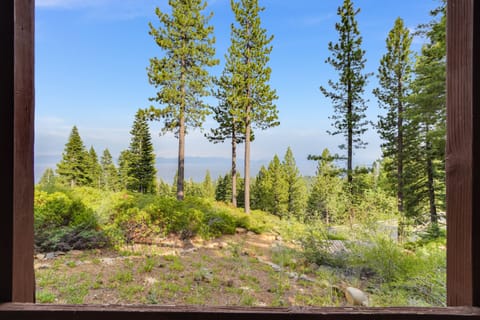 View from the hot tub area.