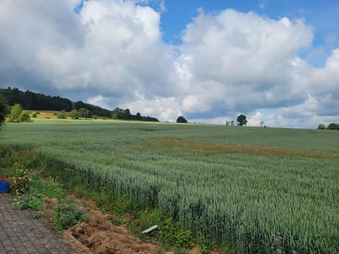 House | View from property