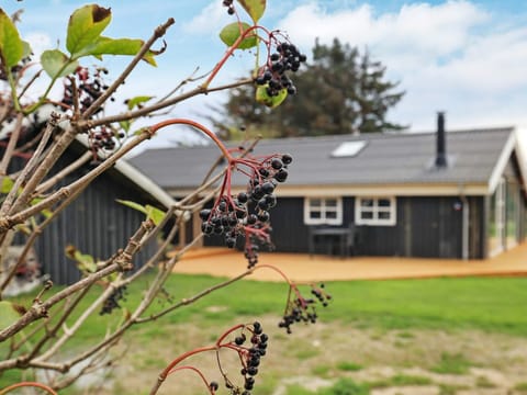 House | View from property