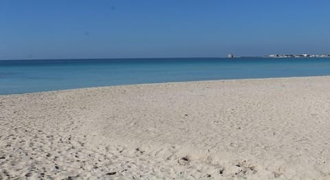 On the beach, white sand, beach bar