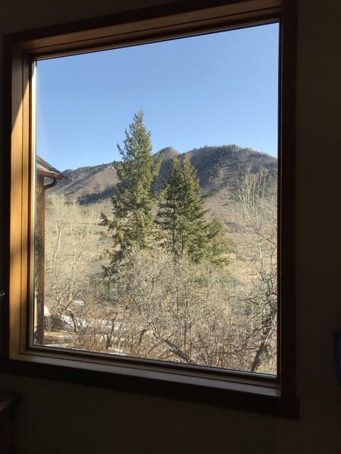 Amazing views of Ute Pass from the giant windows in the living room dining area.