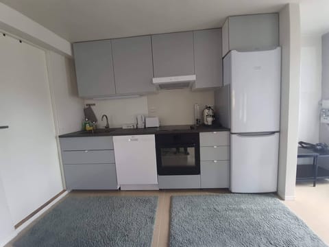 Apartment, 2 Bedrooms, Smoking | Private kitchen | Microwave, coffee/tea maker, electric kettle, cookware/dishes/utensils